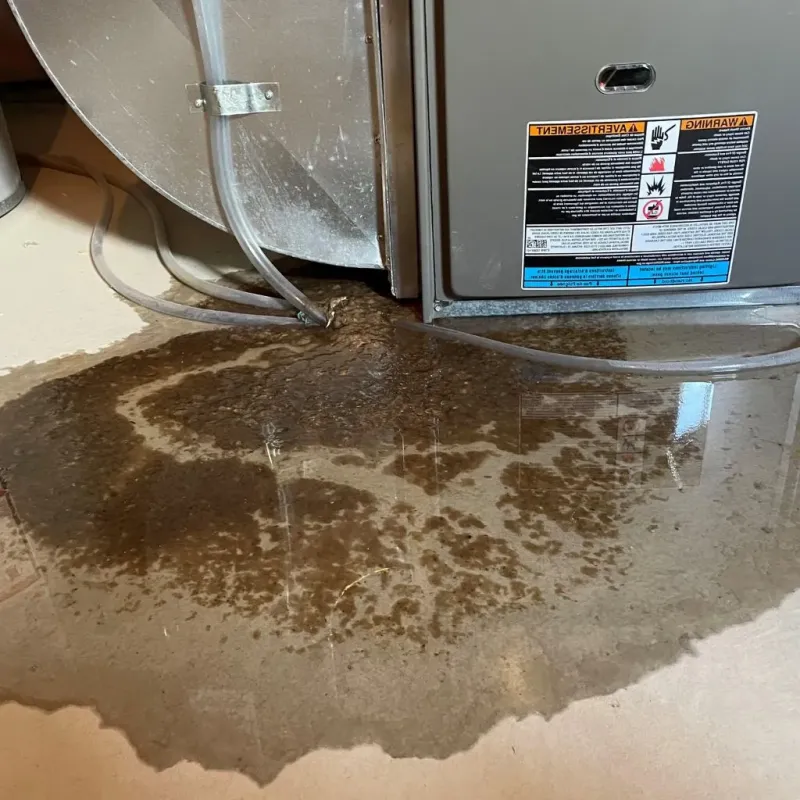 Pipe Burst and Leak Restoration in Haskell County, KS